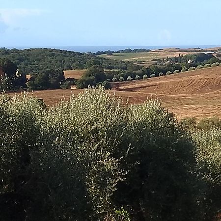 Agriturismo Le Colline Di 까팔비오 외부 사진