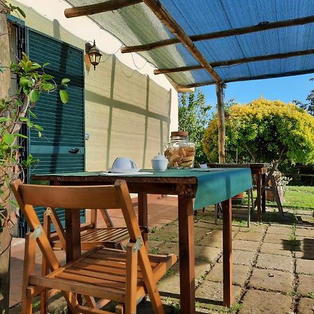 Agriturismo Le Colline Di 까팔비오 외부 사진