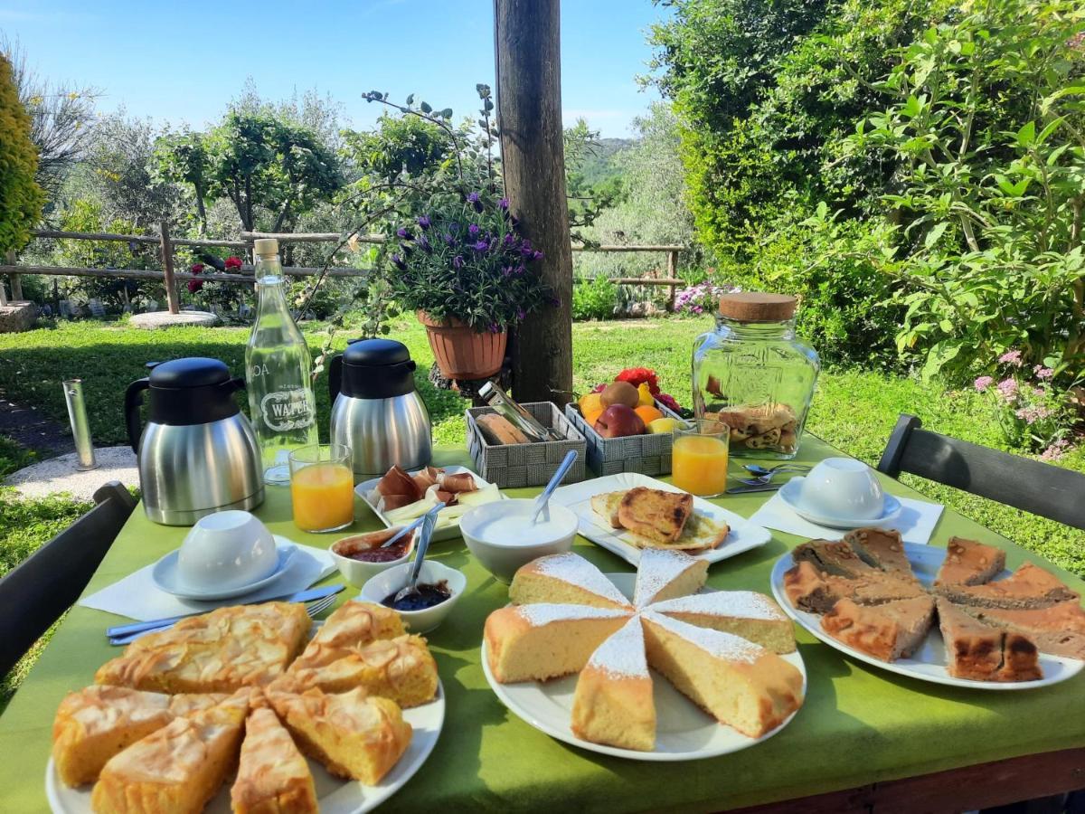 Agriturismo Le Colline Di 까팔비오 외부 사진