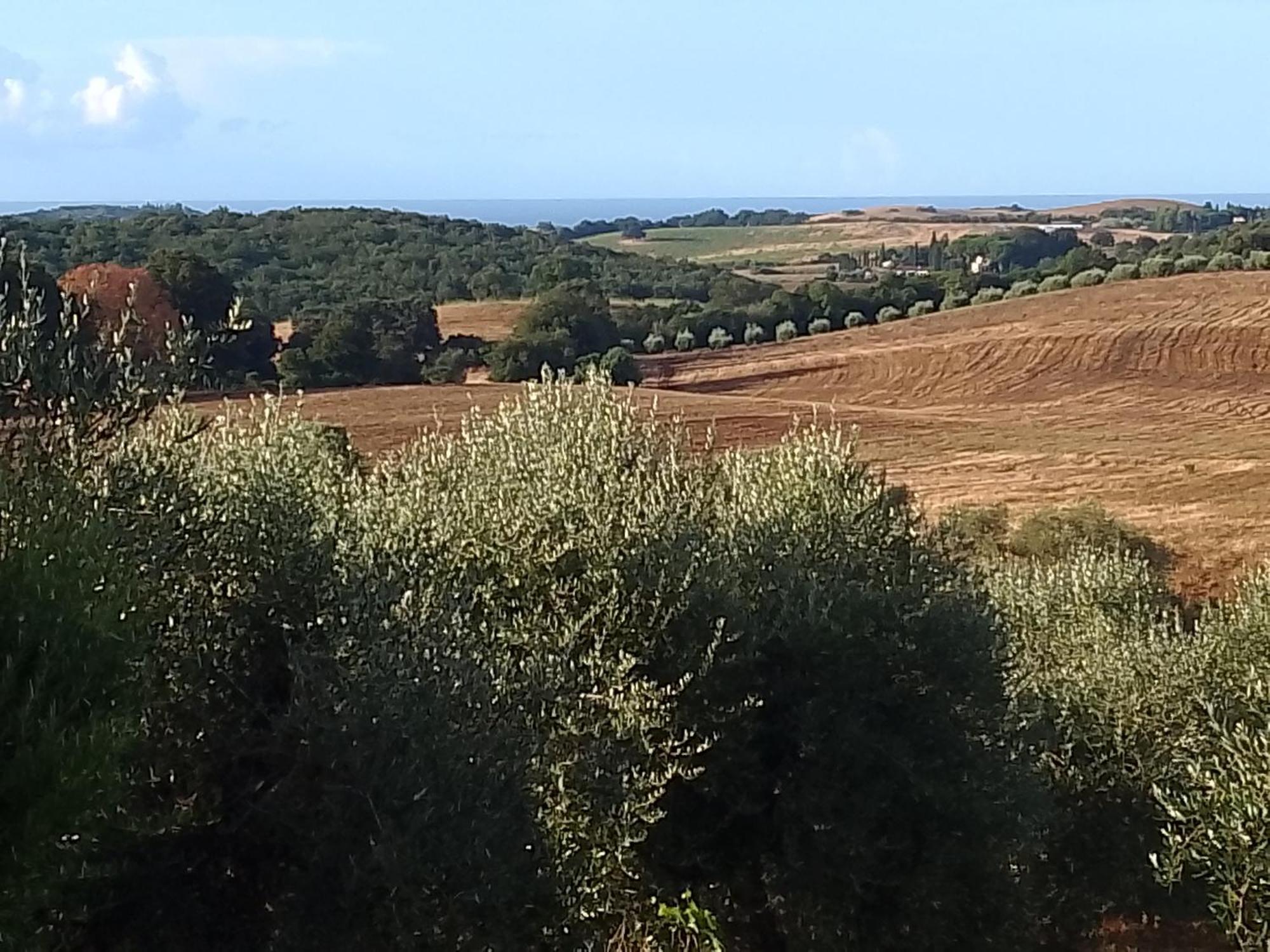 Agriturismo Le Colline Di 까팔비오 외부 사진