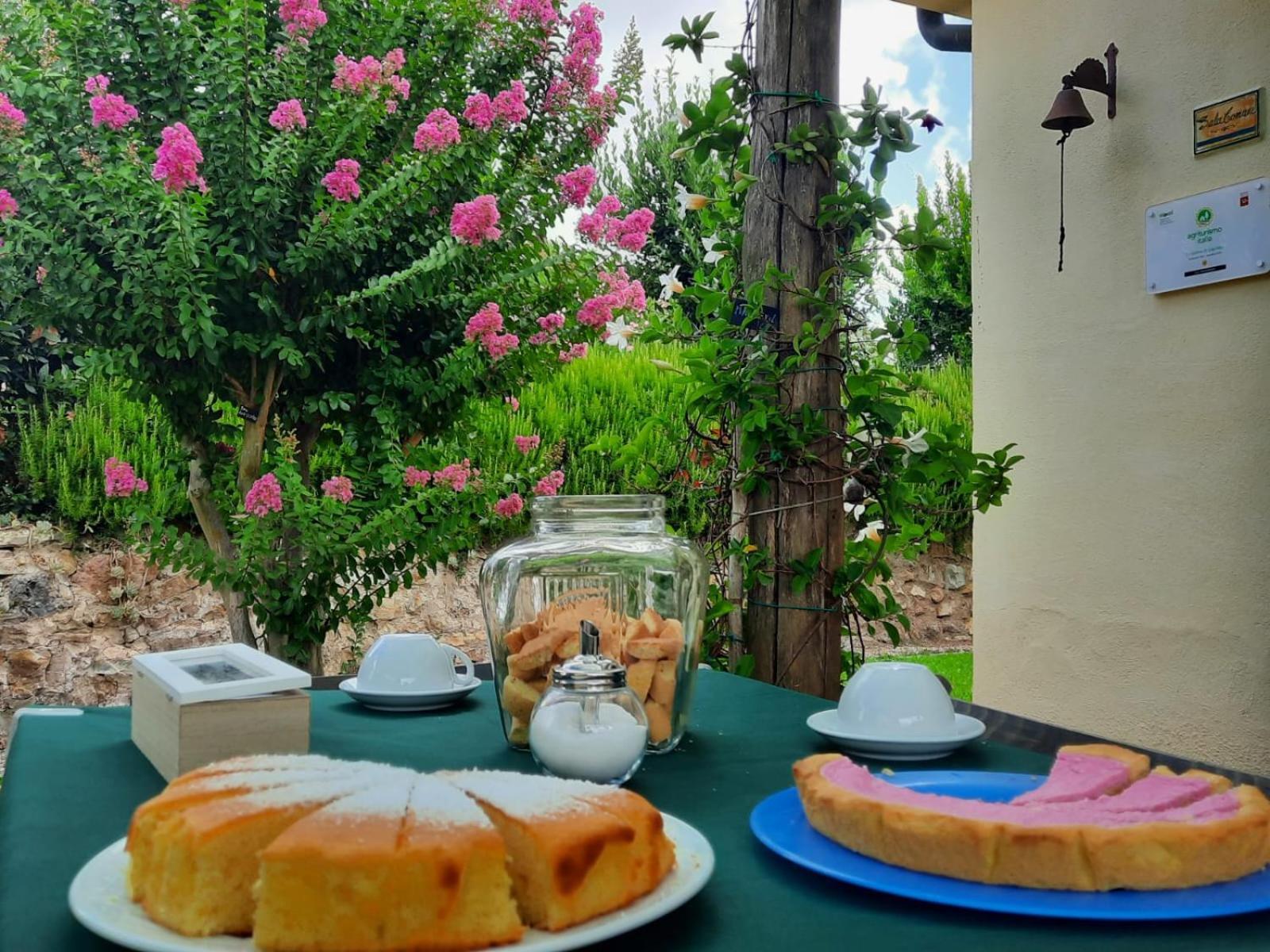 Agriturismo Le Colline Di 까팔비오 외부 사진