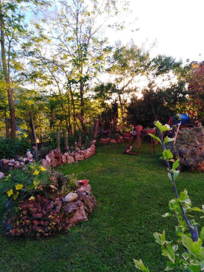 Agriturismo Le Colline Di 까팔비오 외부 사진